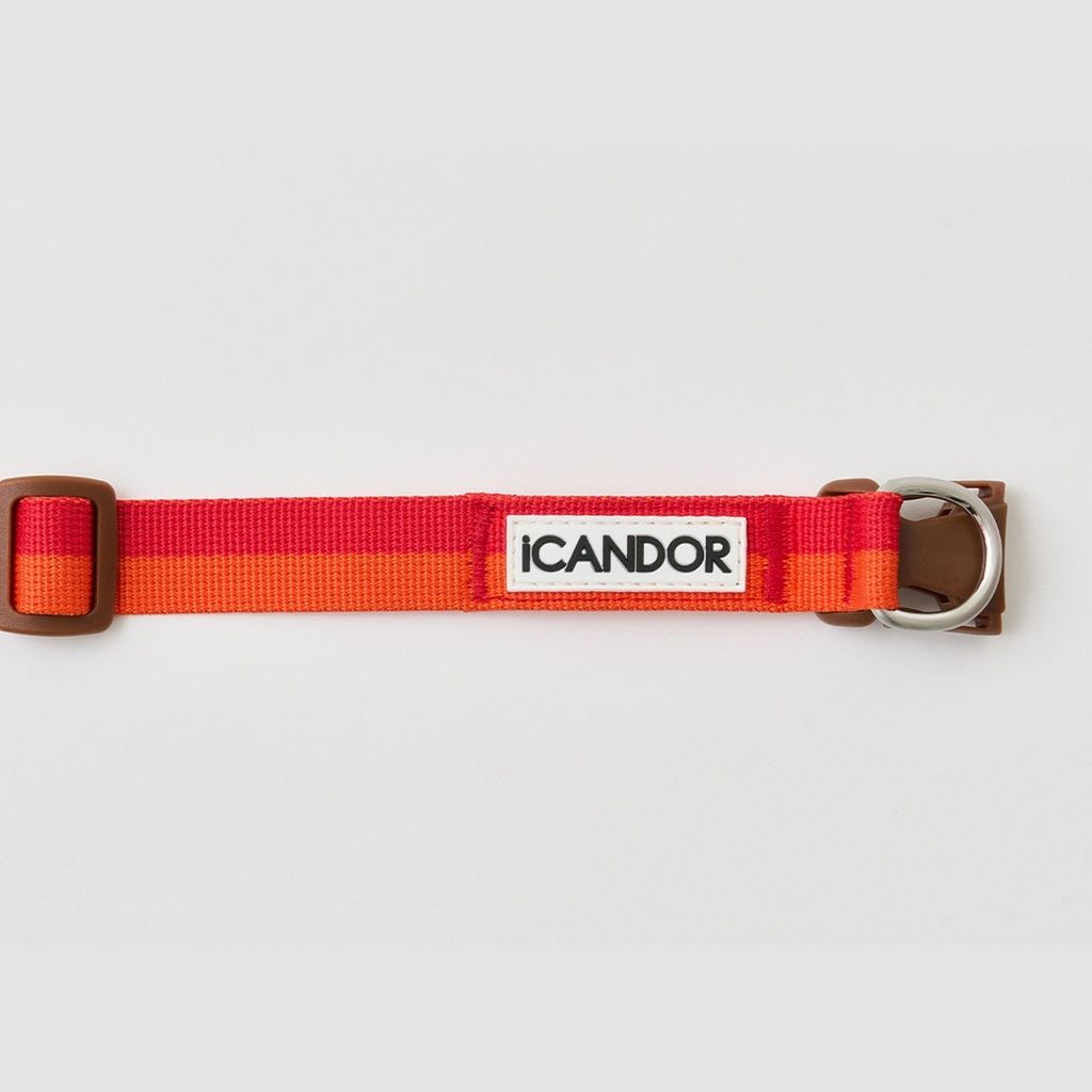 imgi_10_f807366a0c9f1faff11794198dd40926