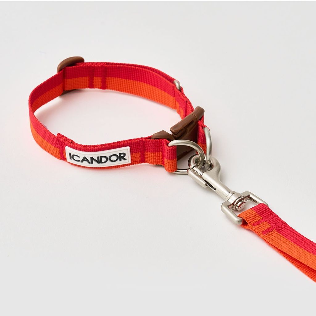 imgi_11_cc9761c4f3fe6bf3418d0de5d14de95f