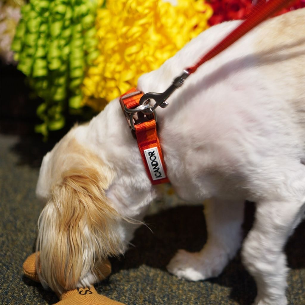 imgi_14_55b18eb98c70c2ed19d6e05ba83cda60