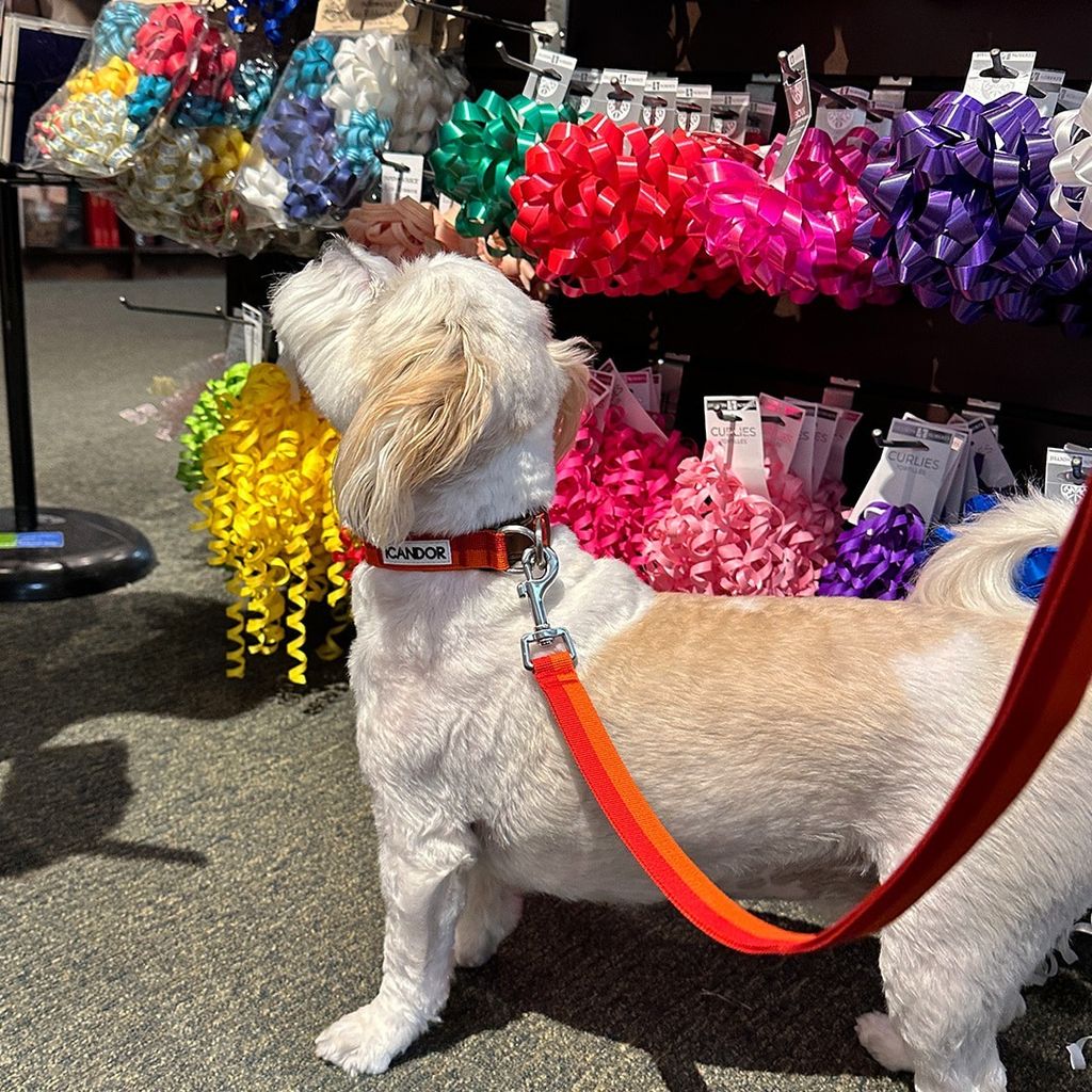 imgi_13_ef4614a3fabcf944ca4b09cc969b1764