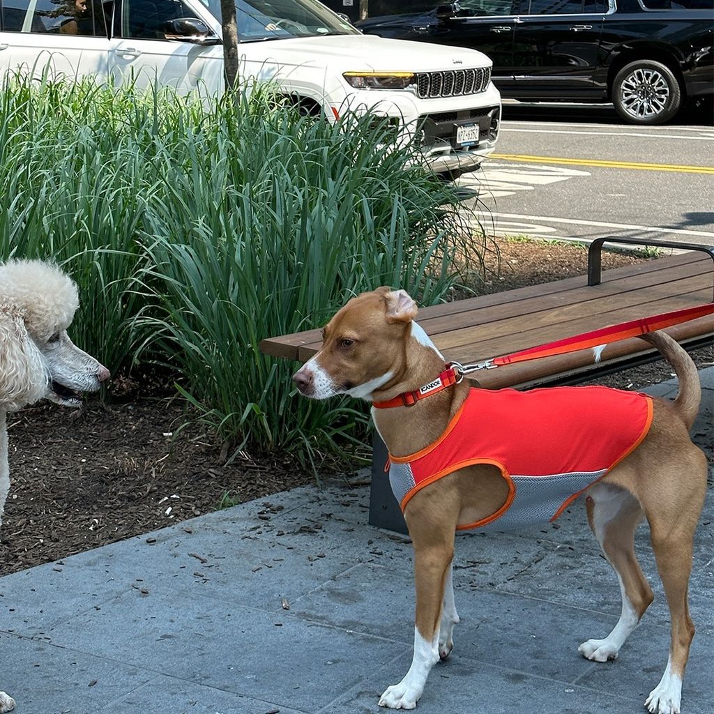 imgi_16_523d014feb9c5f6b030b4f6a869e5bba