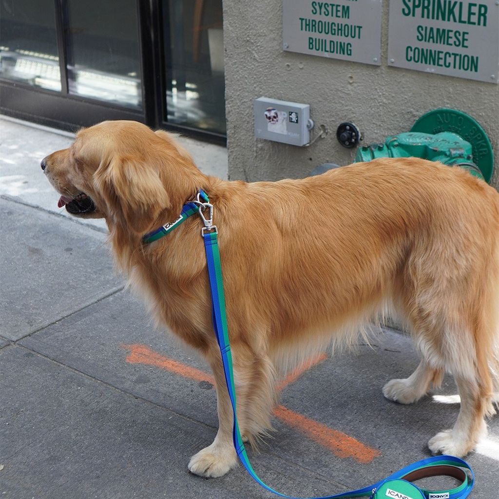 imgi_14_dbd30a82cc6735665e2b1aef1dd499db