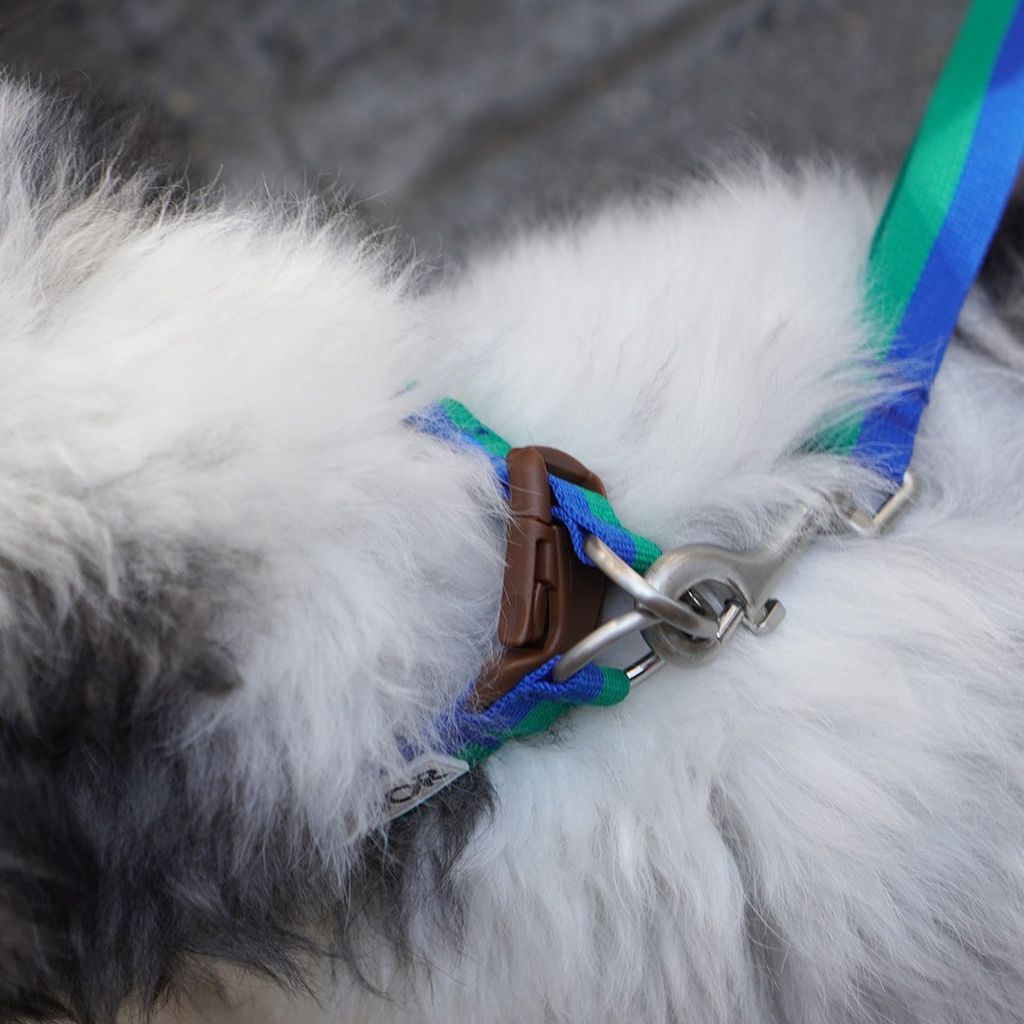 imgi_16_0dfc3ec02a6750c31c2554189f4ab844