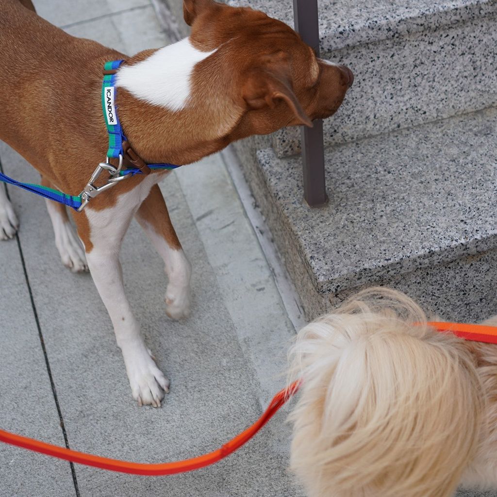 imgi_17_a63330e678b72c46a296f12717d530d5