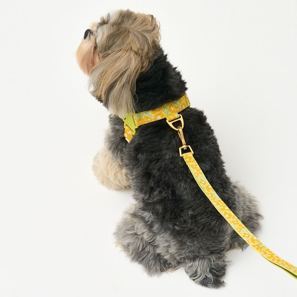 imgi_15_1d3291595b39ed9748e2c08d5d5e71bd