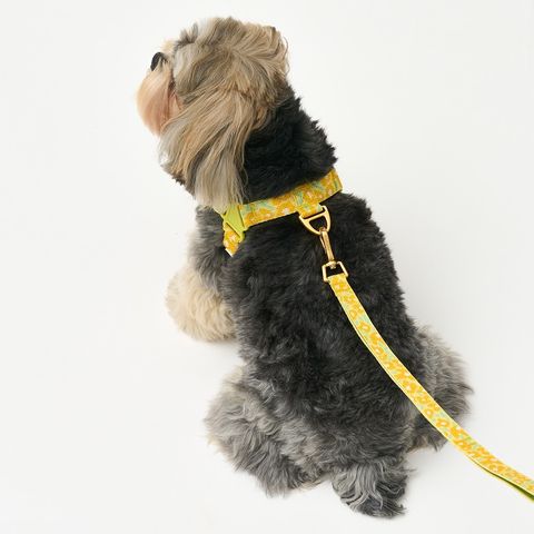 imgi_15_1d3291595b39ed9748e2c08d5d5e71bd