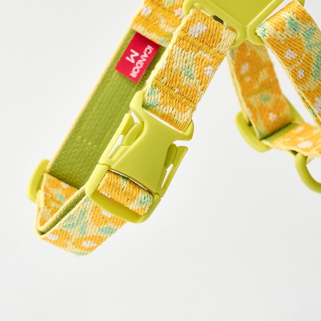 imgi_11_785f81b7301dee0fe5f5613939941c59