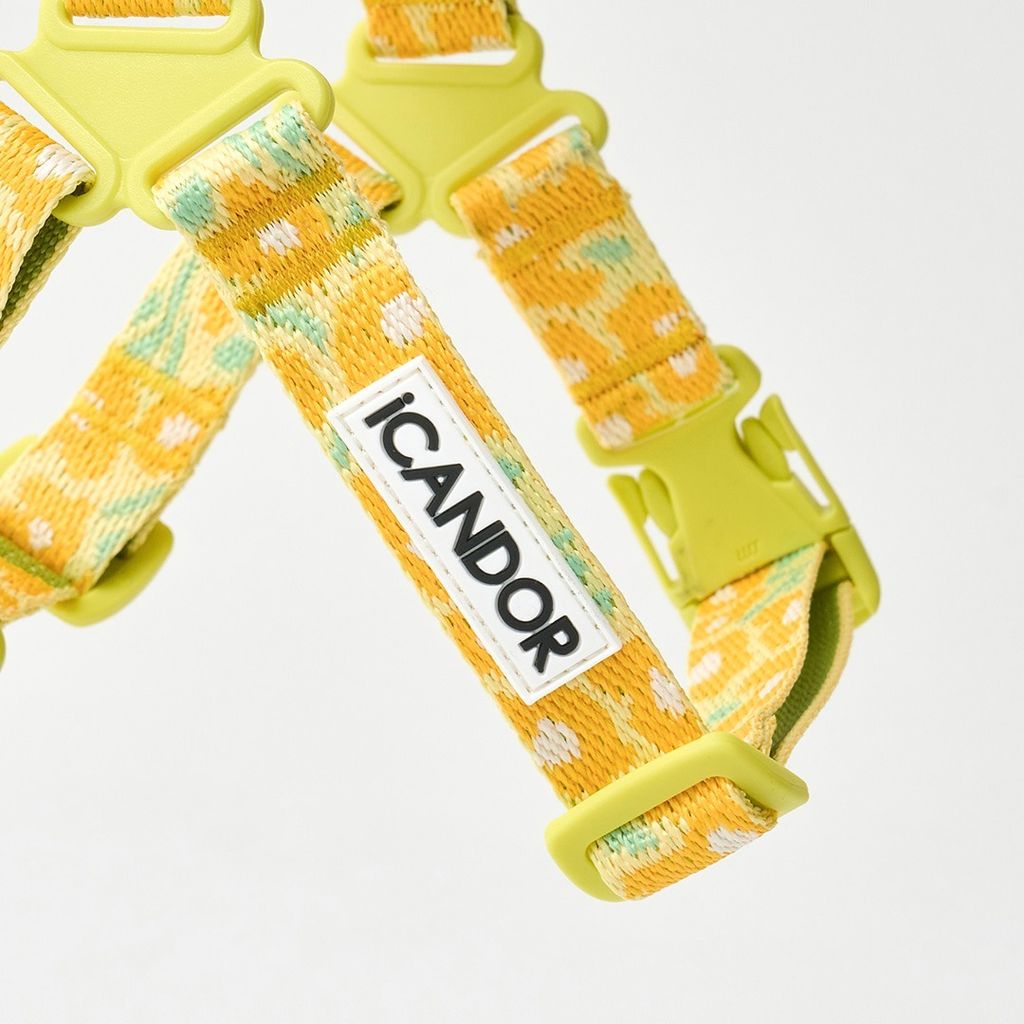 imgi_9_99732d573ff2a8149cedf21a9dd8a36a