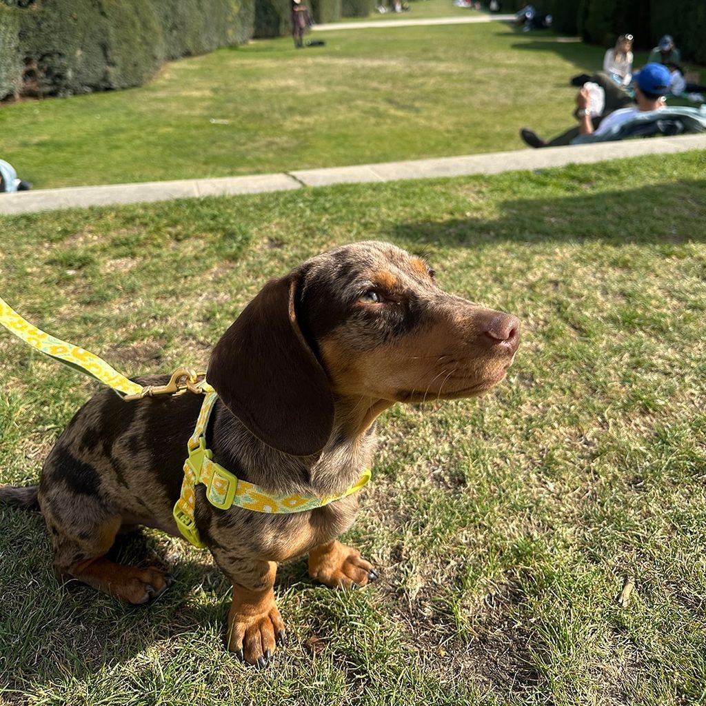 imgi_26_47c096ee8e7c67c9907ceeb8cb96c281