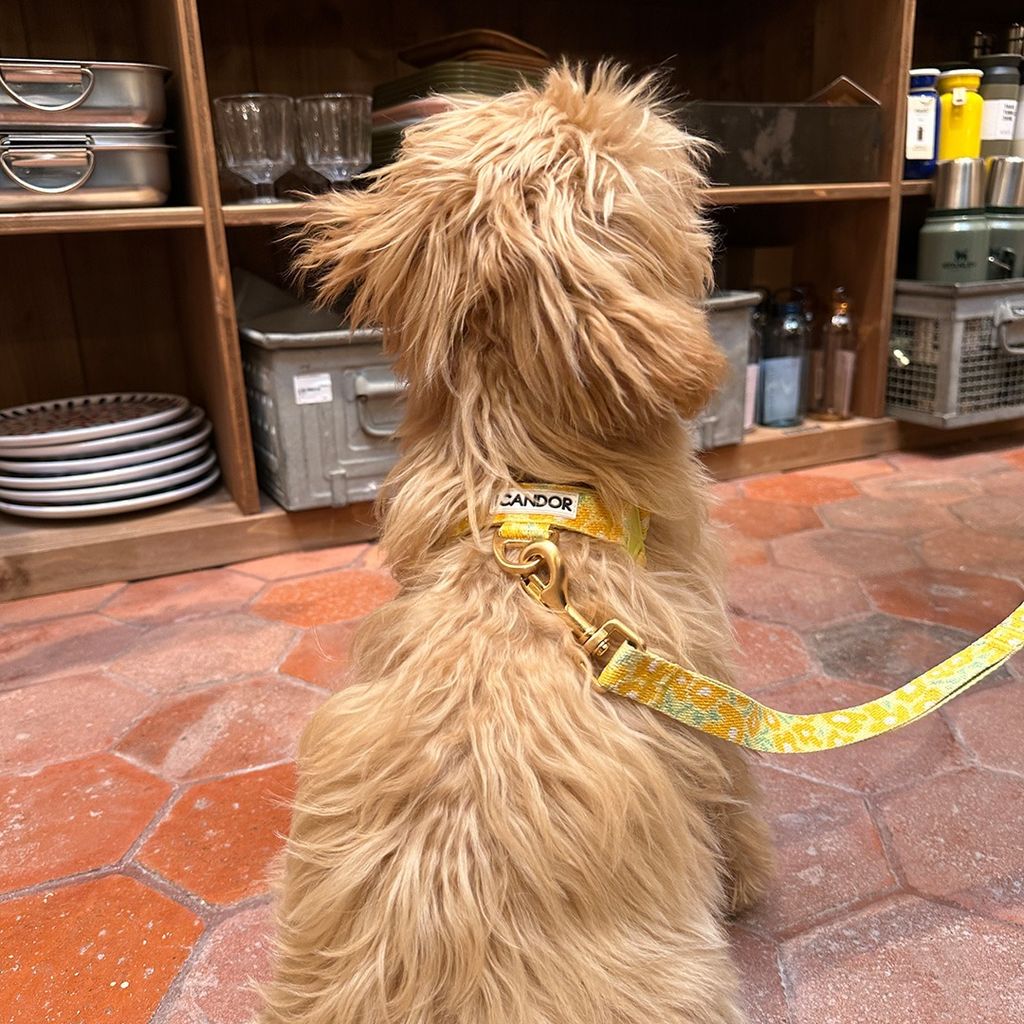 imgi_27_dc9085cc5299beea489efd268e9b96e6