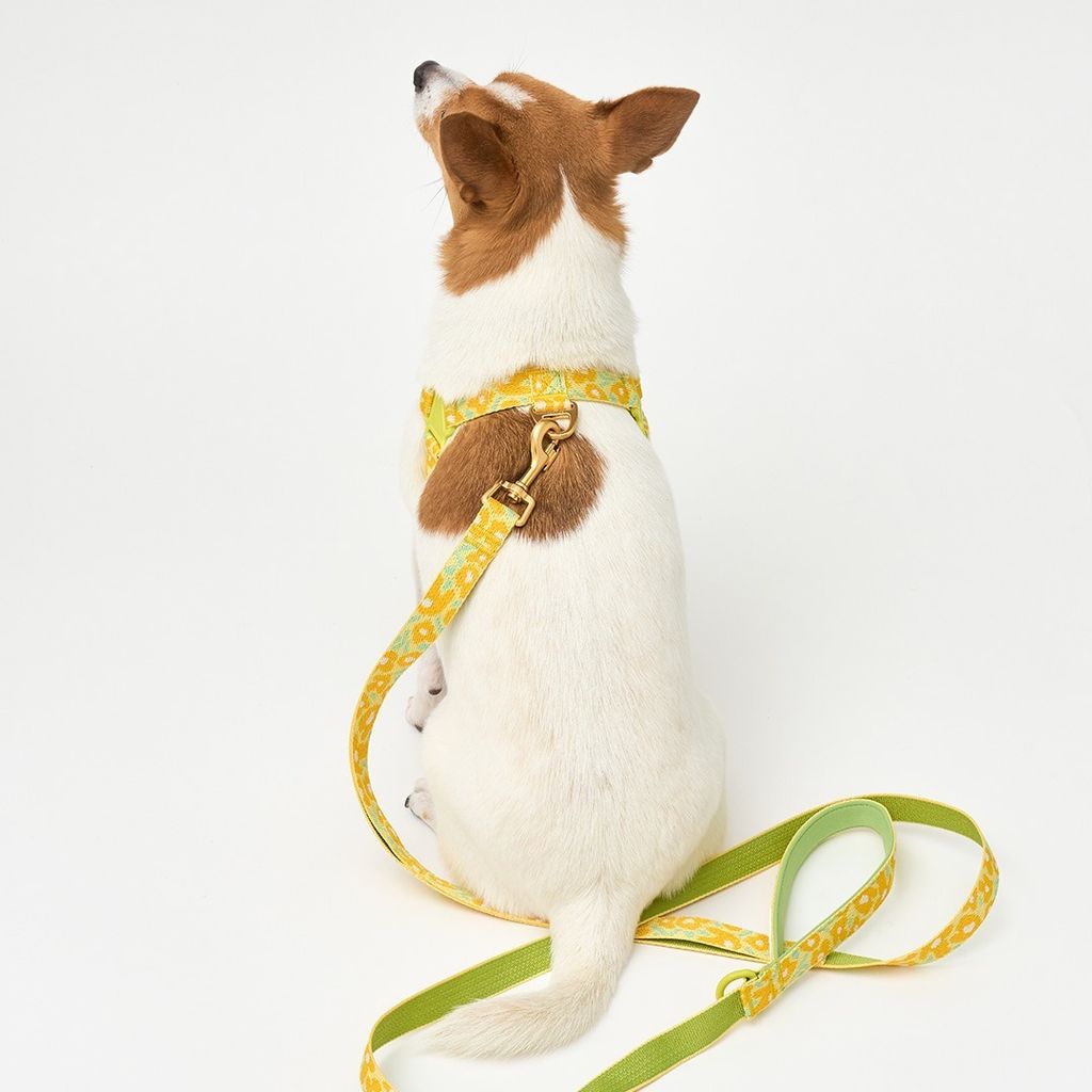 imgi_22_91cc2e34e9eeb36a20e19963a069066a