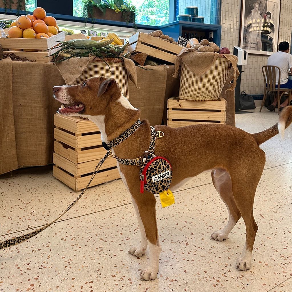 imgi_19_1ed6ea38d280a921980a36fdb4783135