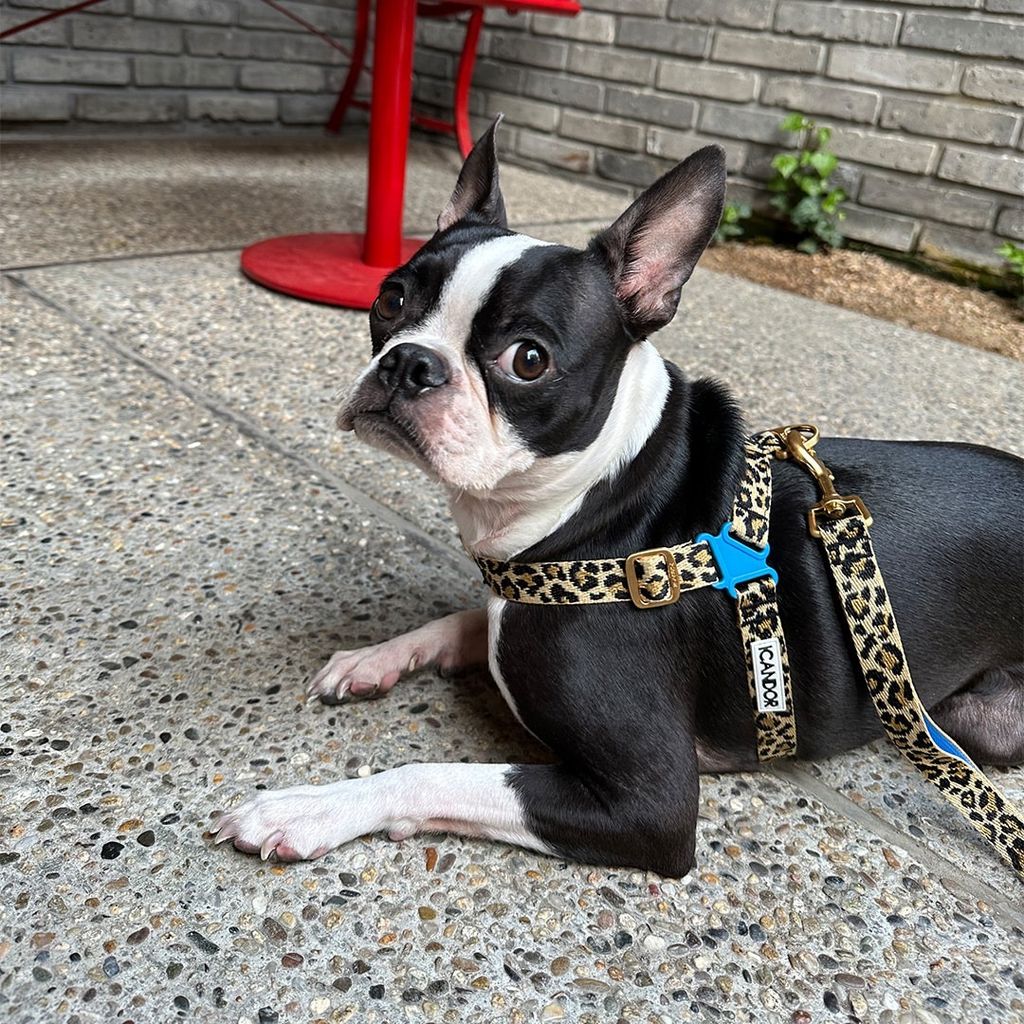 imgi_23_5660507cf8487cce132a50c0a9abfe09