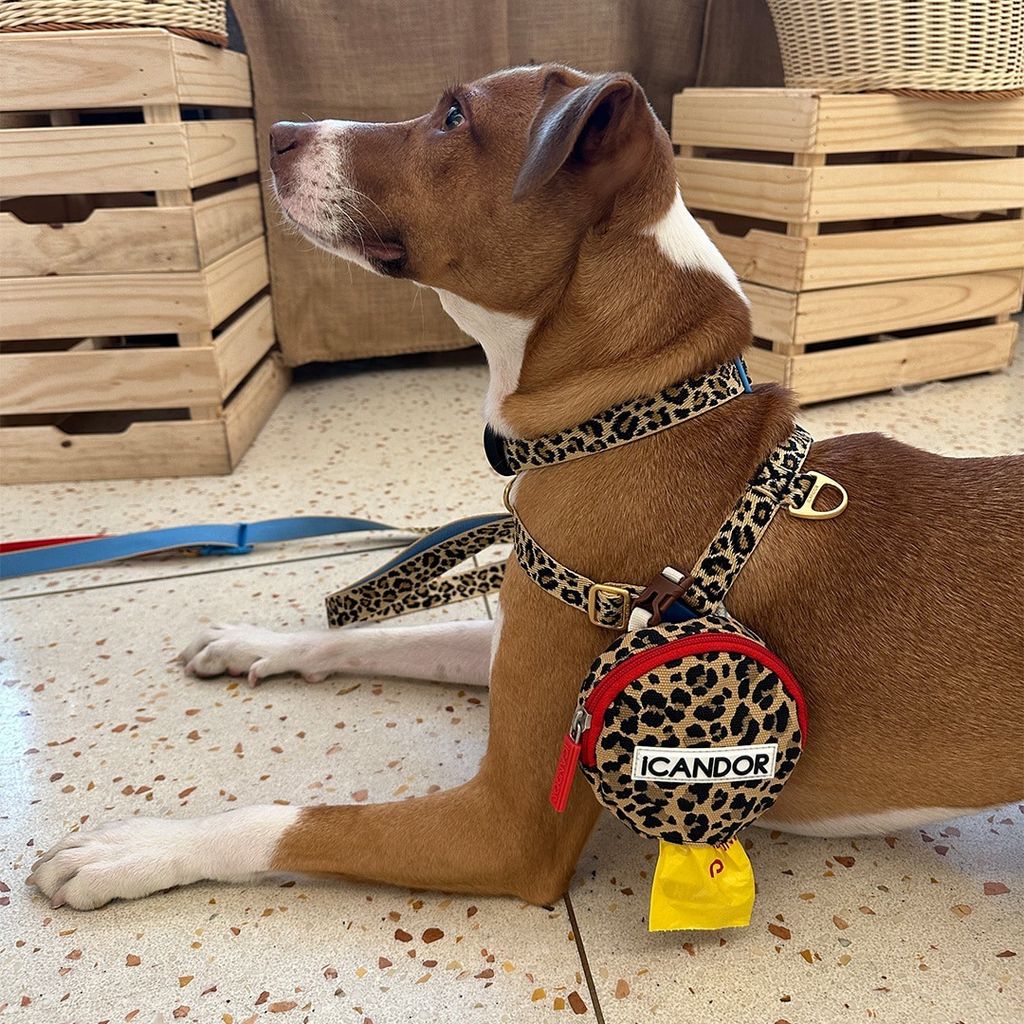 imgi_20_f8296c854e2e0de570542c505c66c5ce