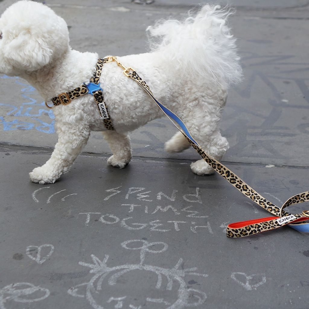 imgi_21_275e86134038051873d7f773c76a8efe