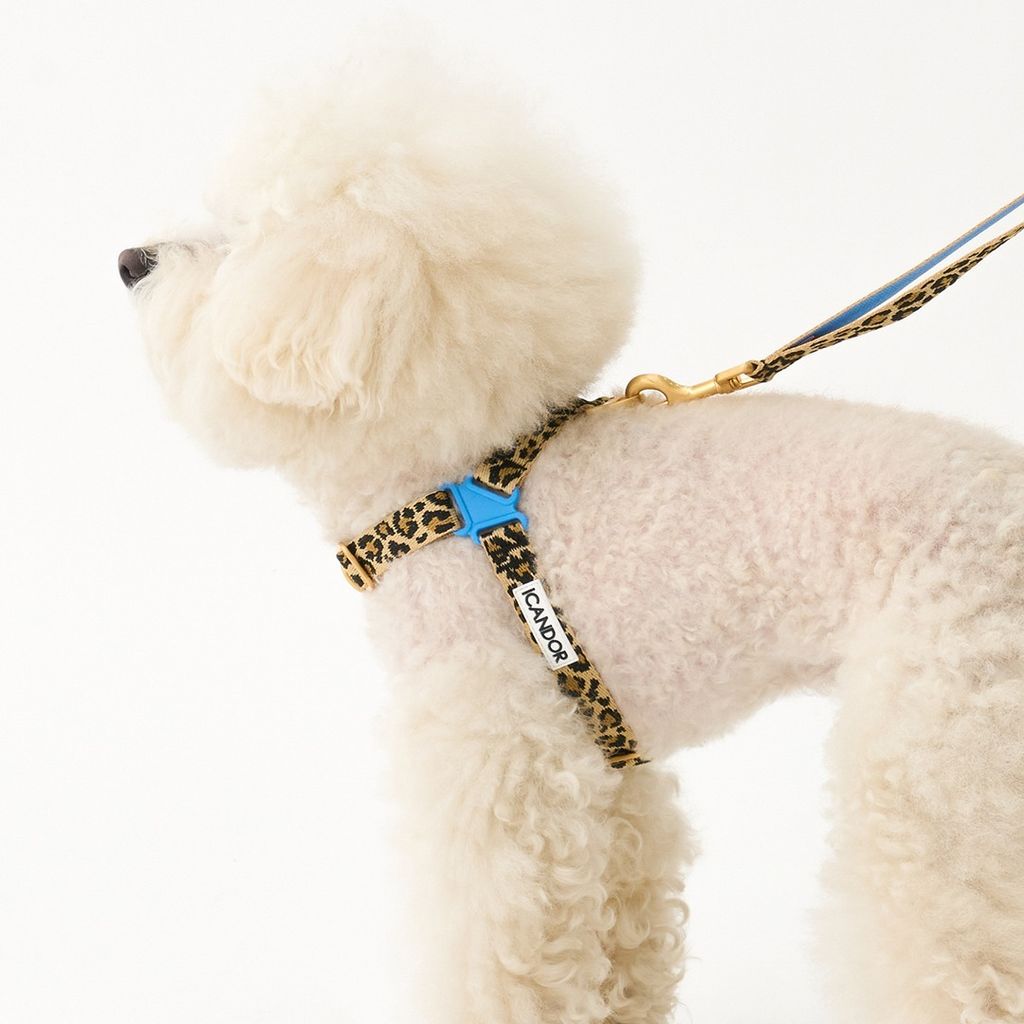 imgi_17_686a6b78388b88b6c1a853e62dbb5052