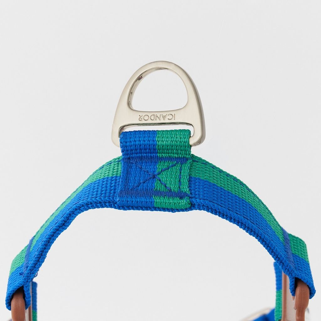 imgi_11_3854198b4343f4369e9ce28e3652c786