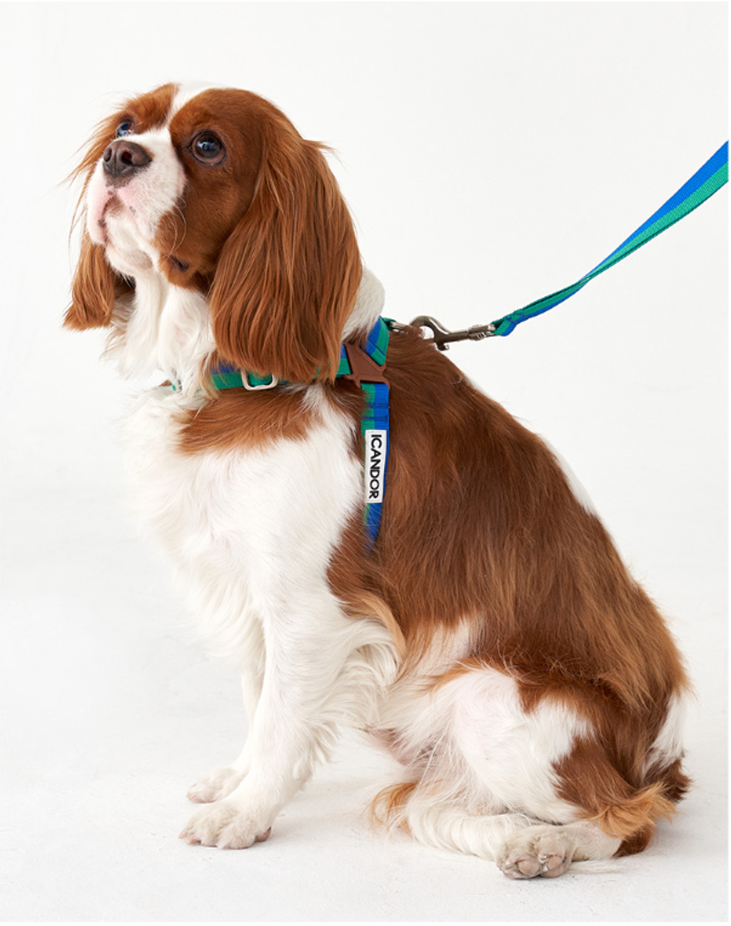 螢幕擷取畫面 2025-10-08 124554