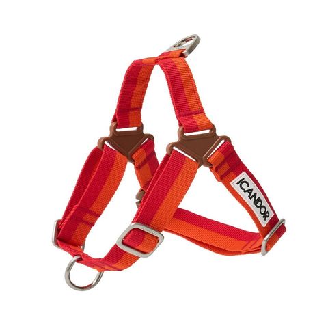 imgi_5_b00ff4434cc4c80e1f4438ac6aaa29c8