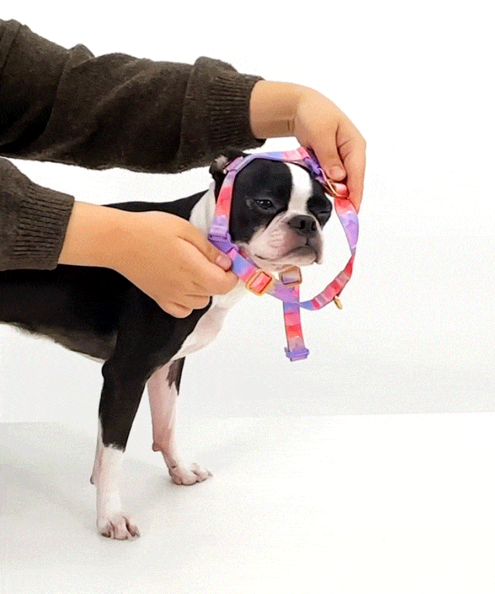 copy-1713076100-8_EBB080ED82A4EC9BA8EC9DB420ECB0A9EC9AA9EBB0A9EBB295