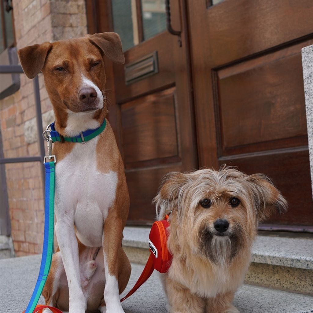 imgi_22_bc6a34c41c917a267553fd9224439f04