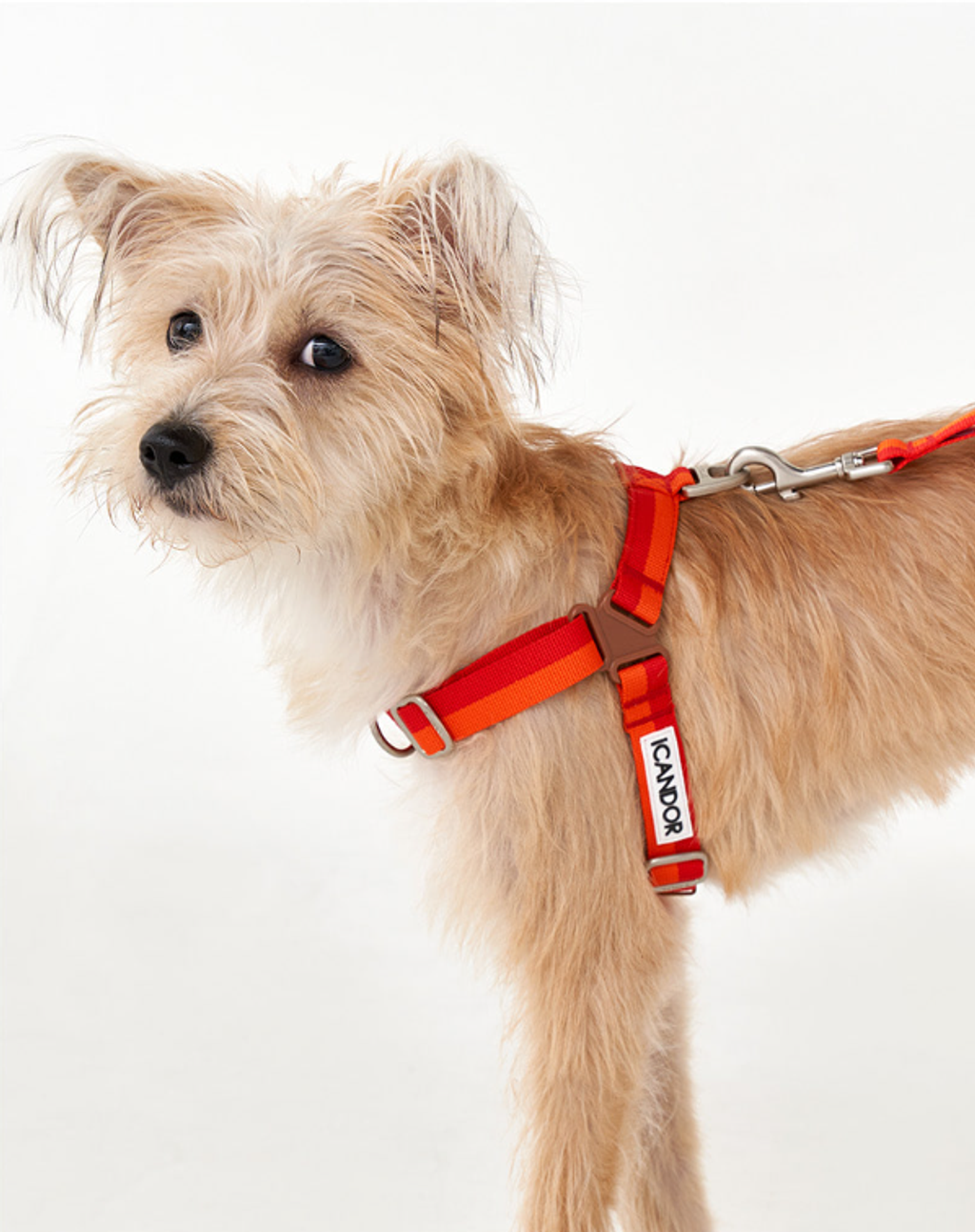 螢幕擷取畫面 2025-10-08 130559