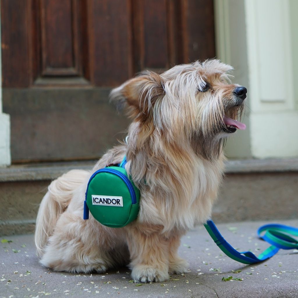 imgi_15_184fa0aca5c5e7a8509560f0175a5340