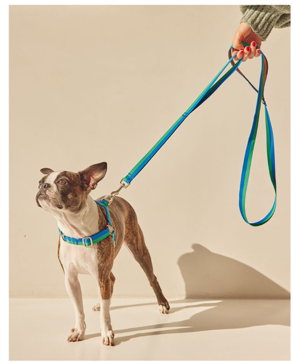 螢幕擷取畫面 2025-10-09 114534