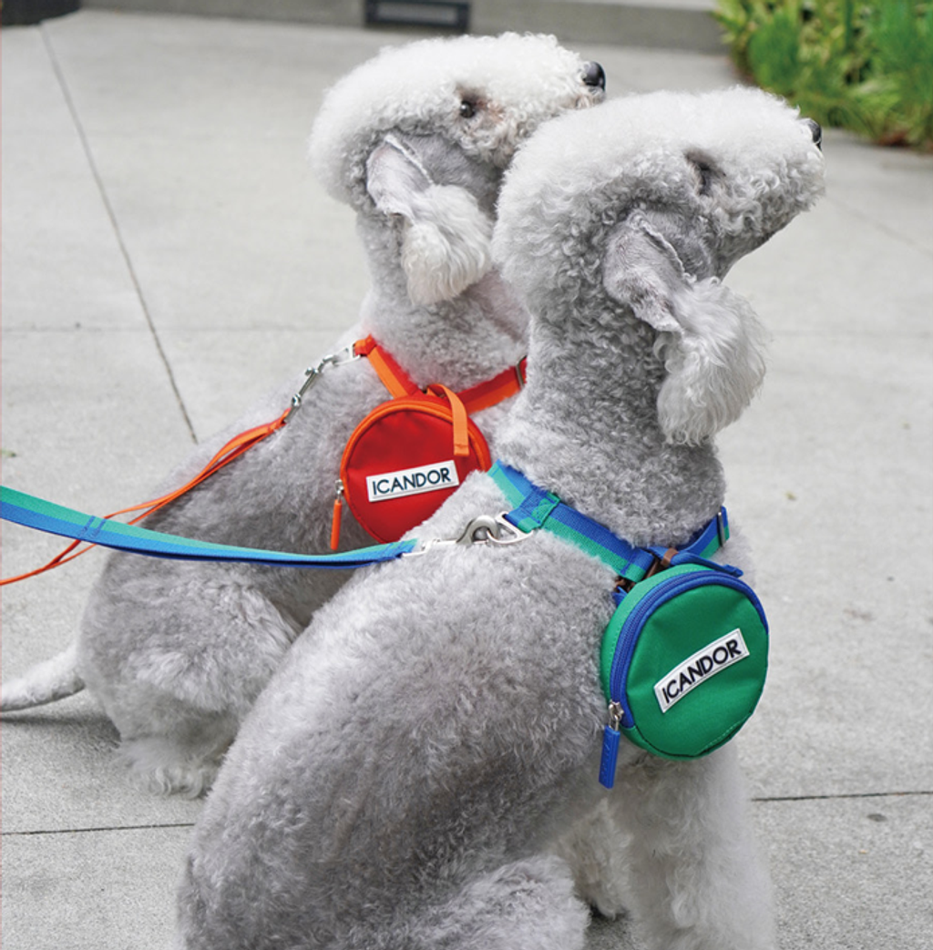 螢幕擷取畫面 2025-10-09 122638