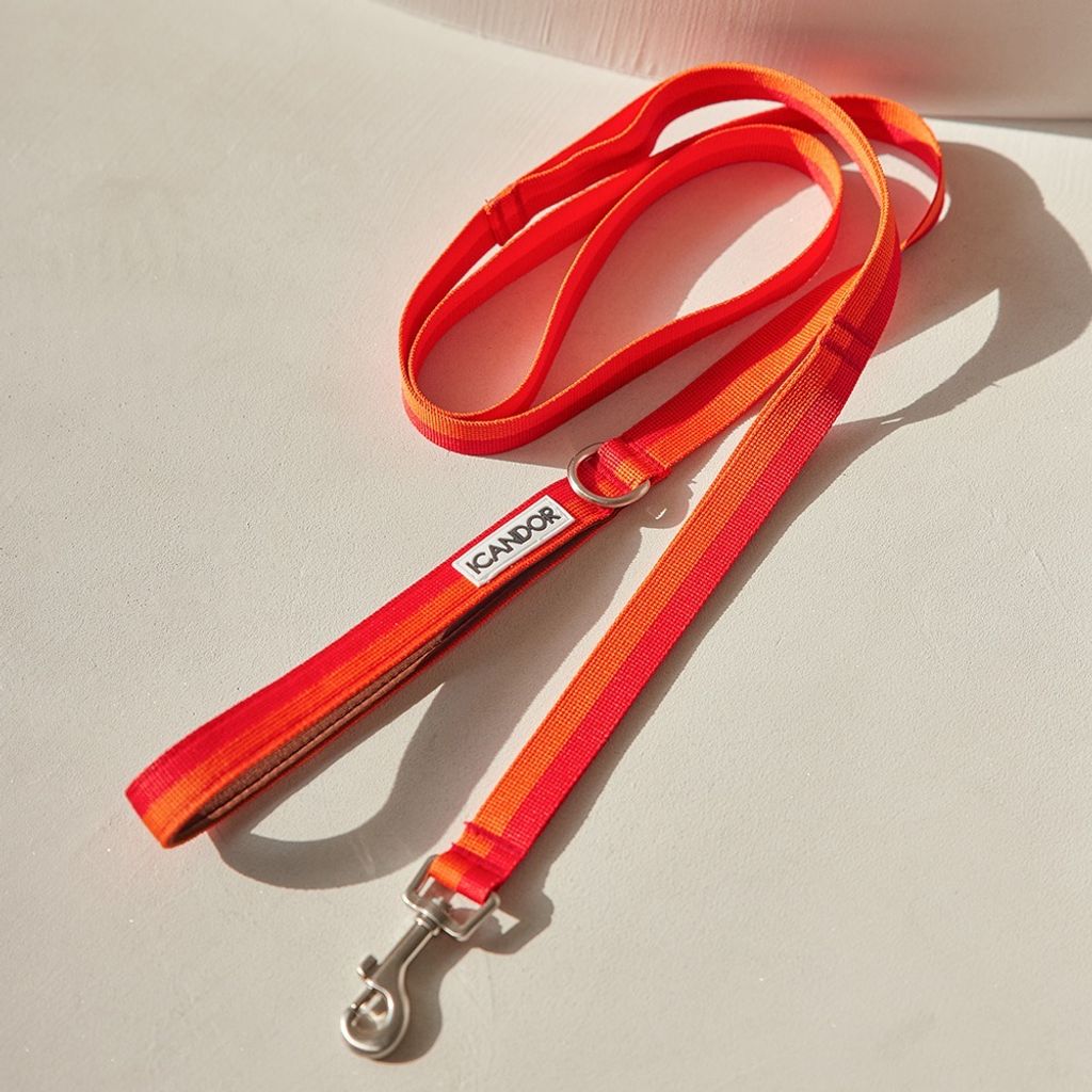 imgi_8_6f34d9b6a2111b0eb1f74a0efb83556a