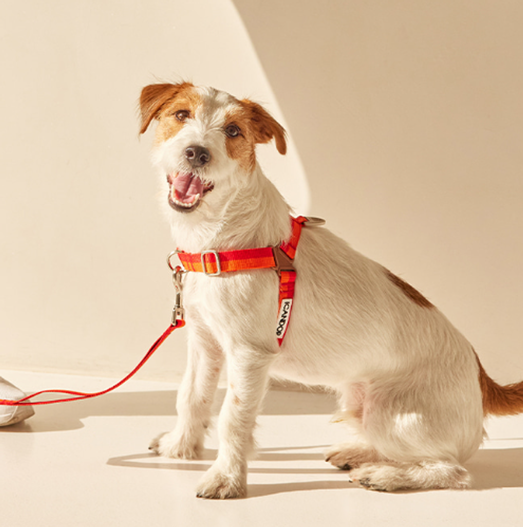 螢幕擷取畫面 2025-10-09 124046