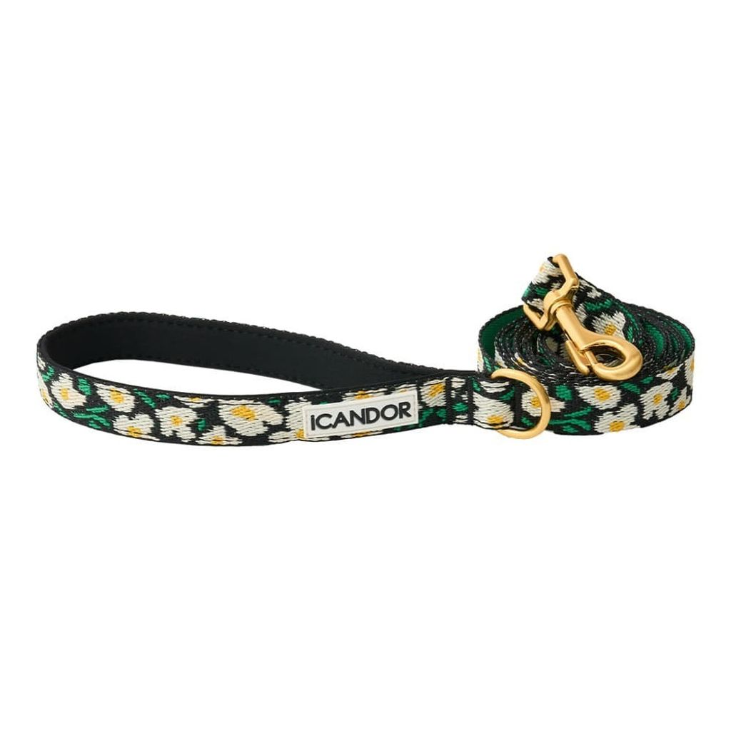 imgi_5_016f79c39a82902f5f3c7ac09ab4dea3