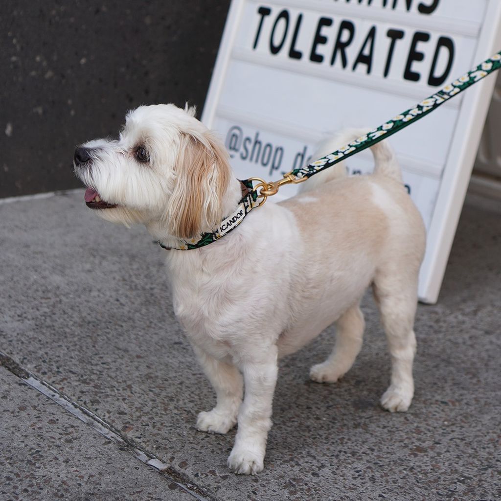 imgi_18_1b4aa9d99c6bf0d5a814243fee576069