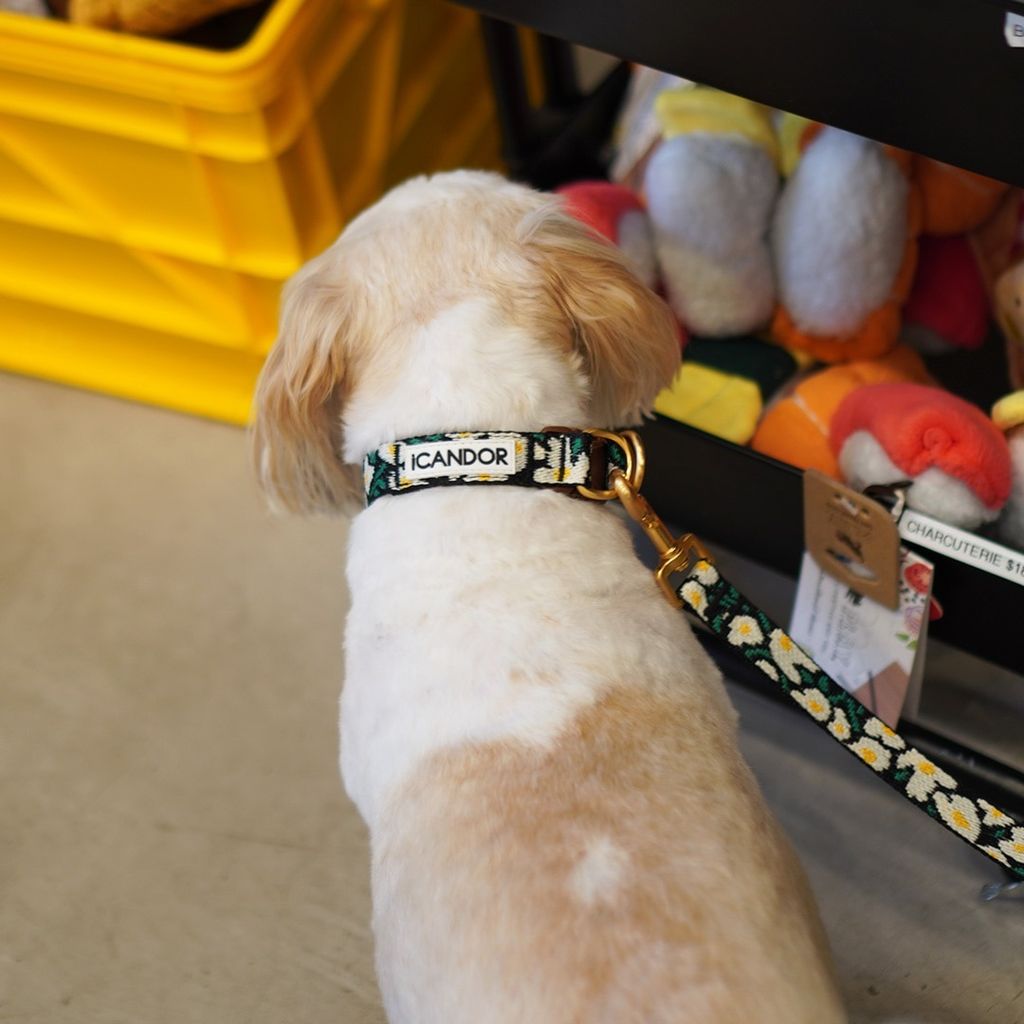 imgi_19_7eda42abc34a5ae5eea00ce06007f928