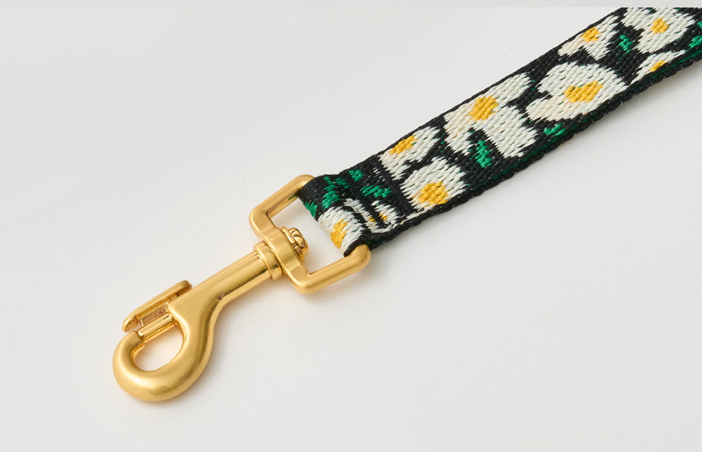 螢幕擷取畫面 2025-10-09 131456