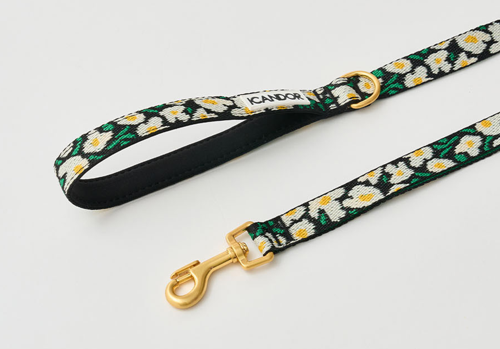 螢幕擷取畫面 2025-10-09 131440