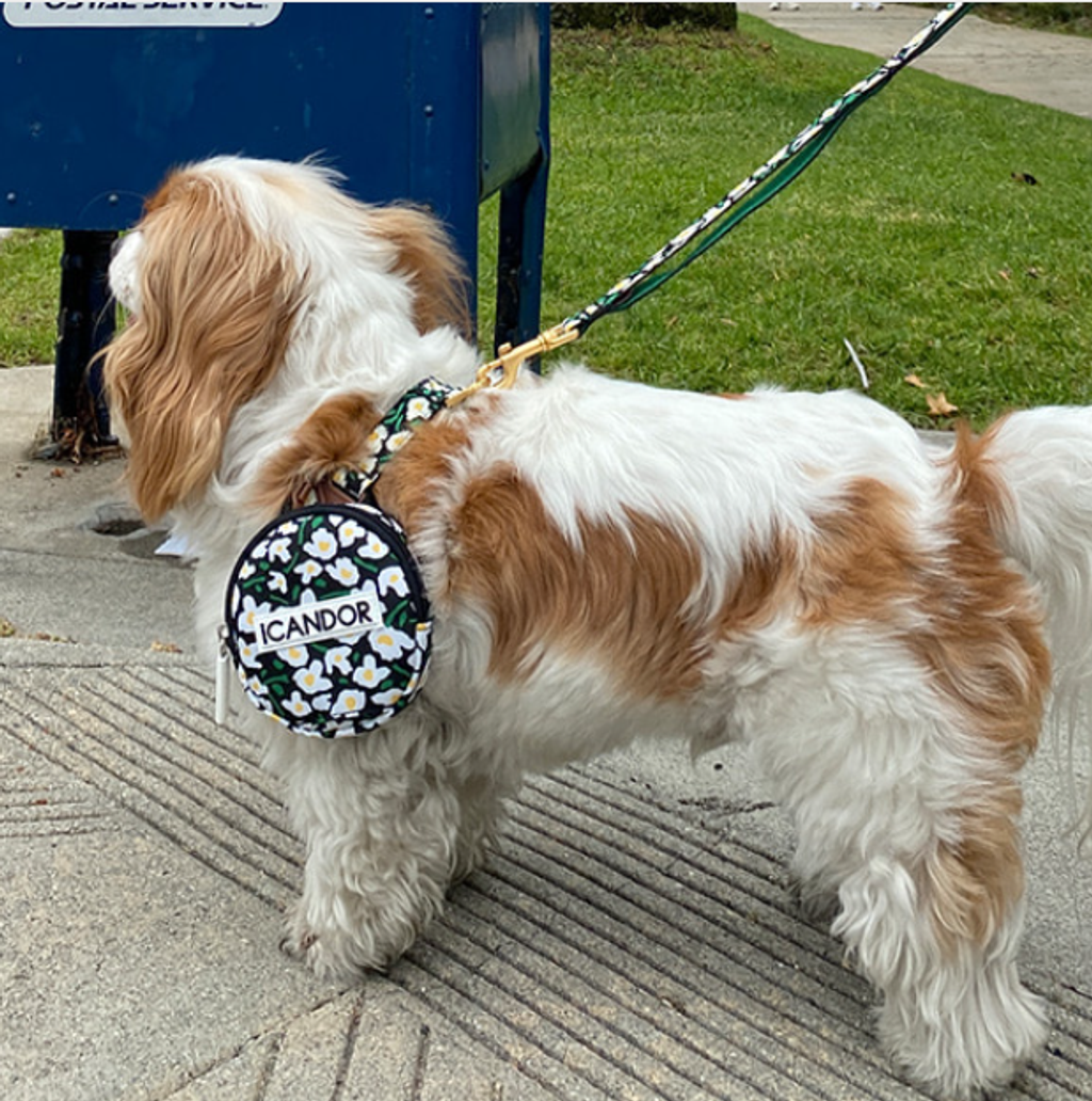 螢幕擷取畫面 2025-10-09 131629