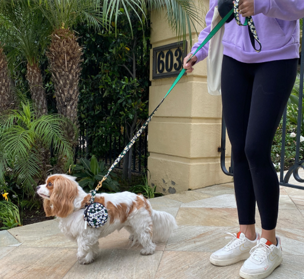 螢幕擷取畫面 2025-10-09 131654