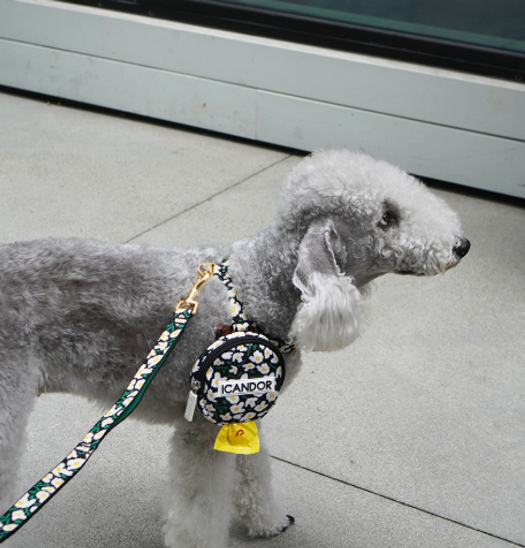 螢幕擷取畫面 2025-10-09 131742