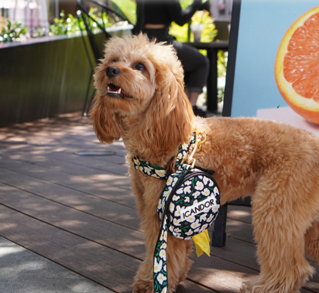 螢幕擷取畫面 2025-10-09 131801