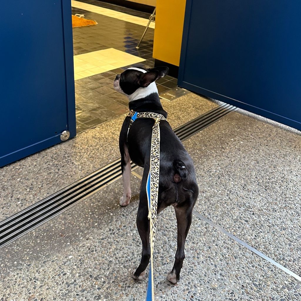 imgi_20_8f2947db7769288d5a450d7911d32b62 (1)