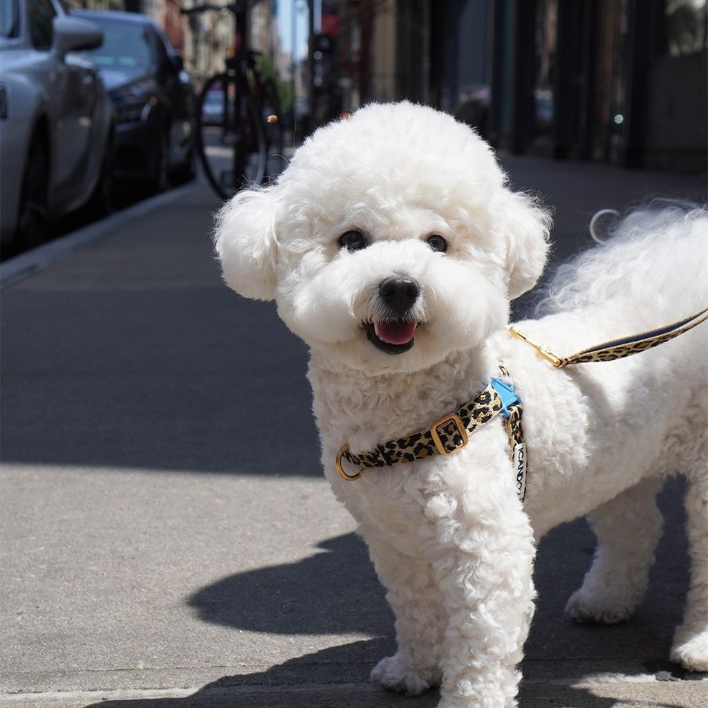 imgi_15_7120bbfa923348ce2d99c423b0862d68 (1)