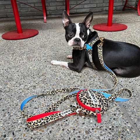 imgi_19_fafb368676807bc8534389337a808d4f