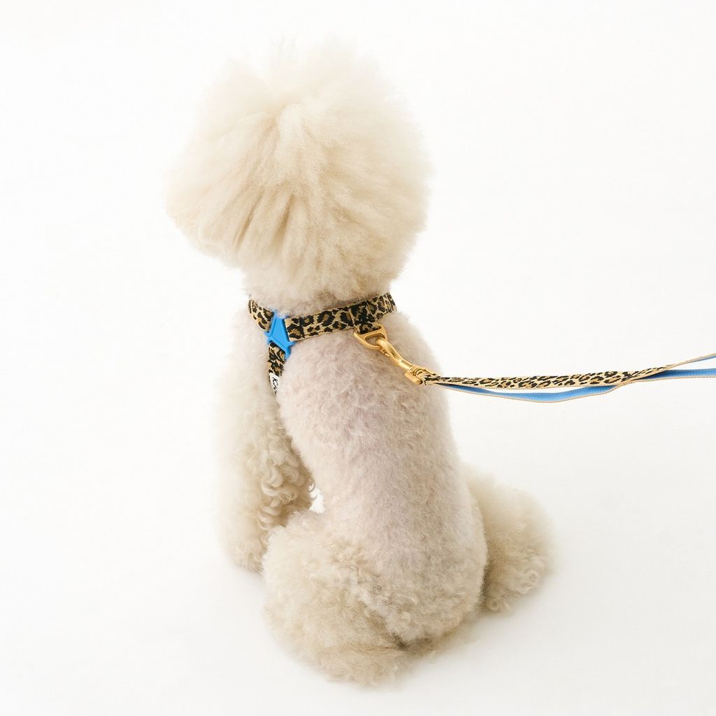 imgi_13_b32f0bed822963776b0fa55e55f265a2