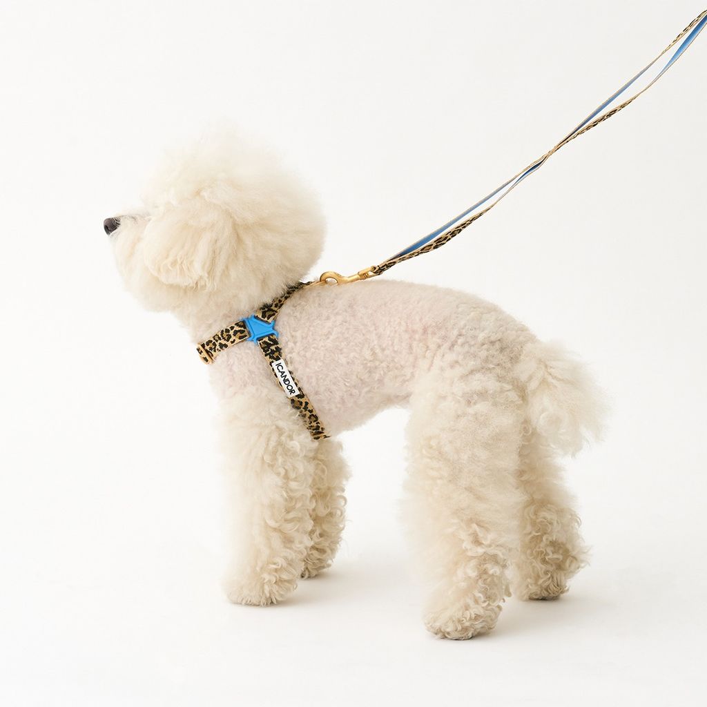 imgi_14_ef42b2bd3b4f9520814e4dfe73c048c0