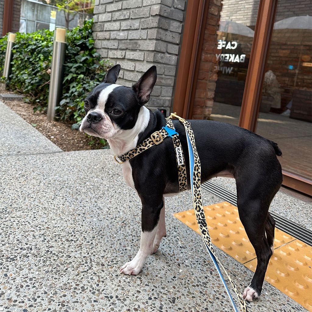 imgi_21_1fc120276769807110199d6259ad5cf5