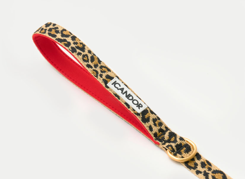 螢幕擷取畫面 2025-10-09 140219