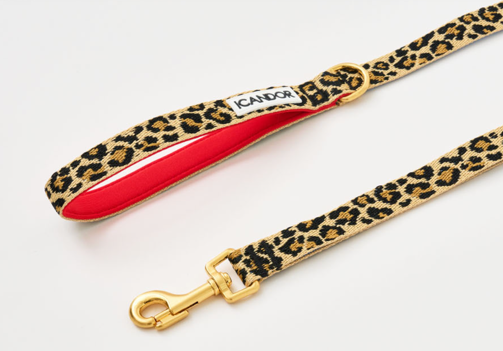 螢幕擷取畫面 2025-10-09 140212