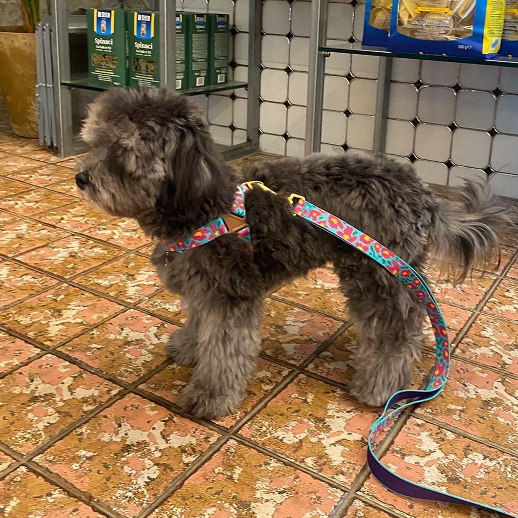 imgi_16_4cee160157b7579ae7de7be4e084ca5f