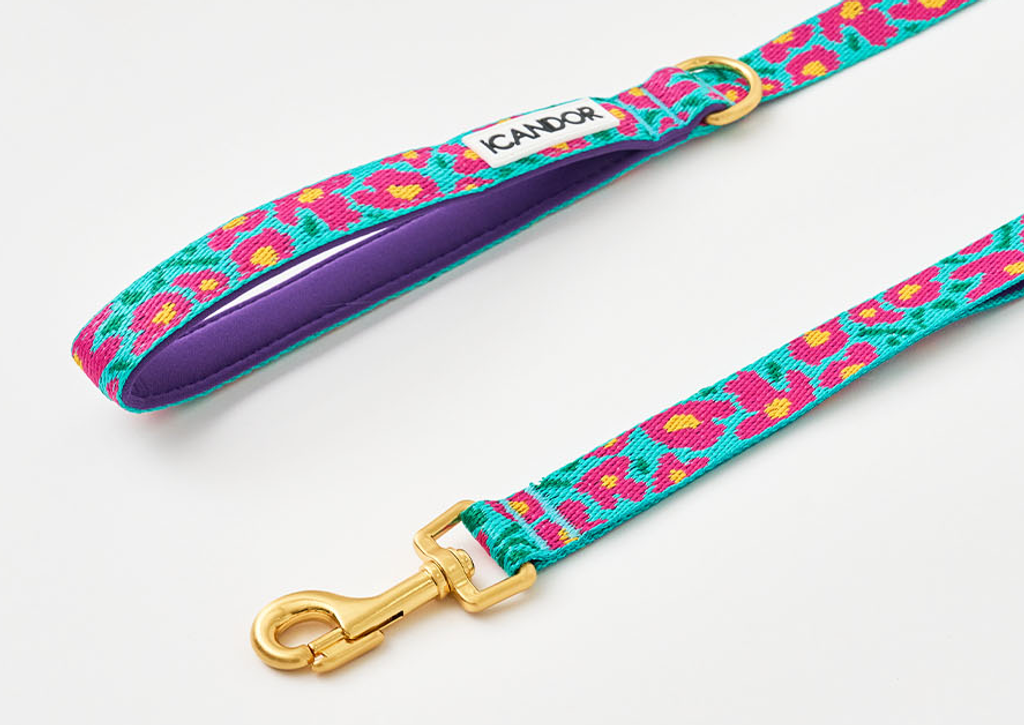 螢幕擷取畫面 2025-10-09 141828